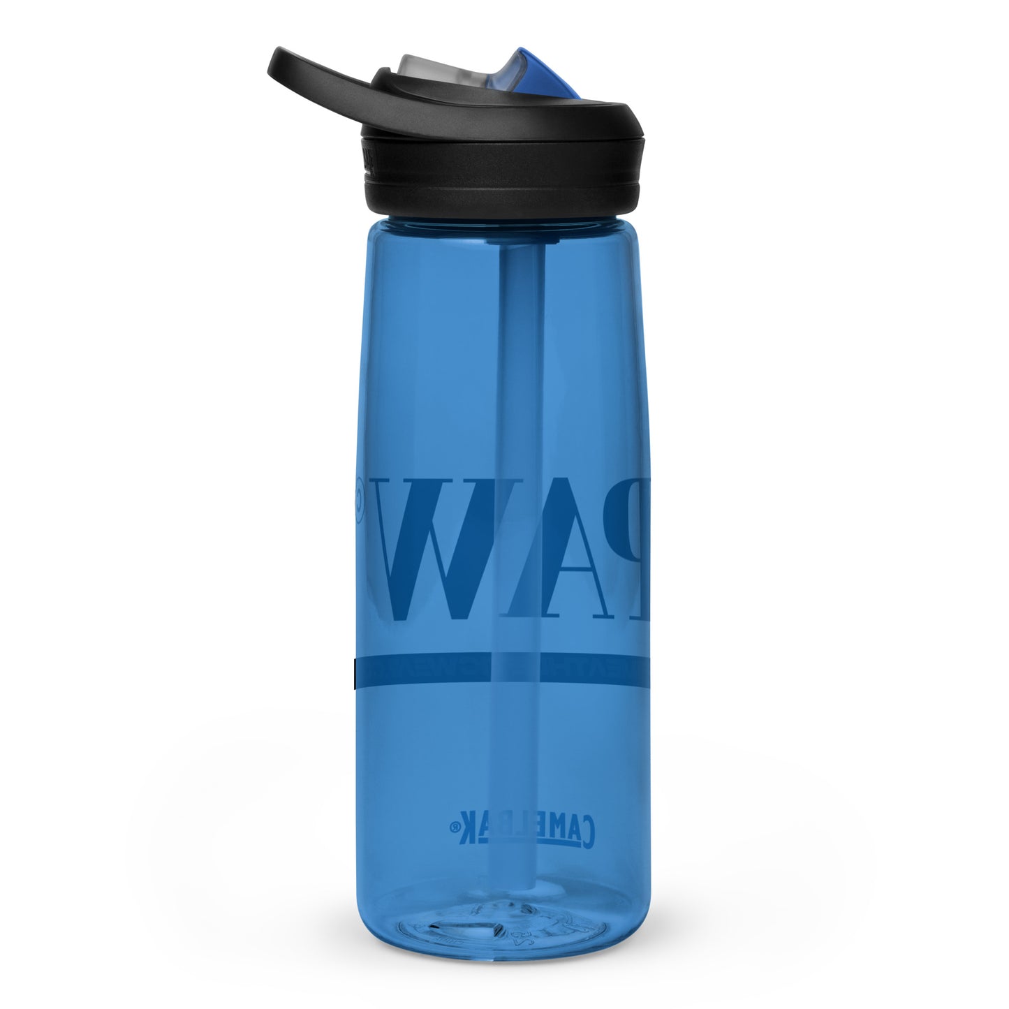 Sports water bottle